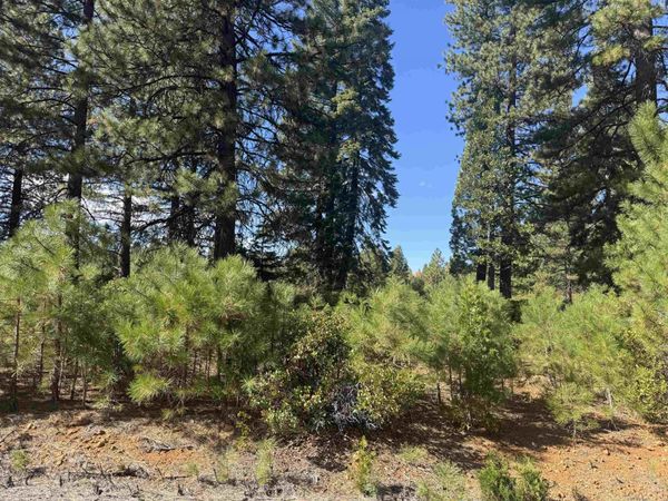 45 Village Drive, Lake Almanor, CA 96137