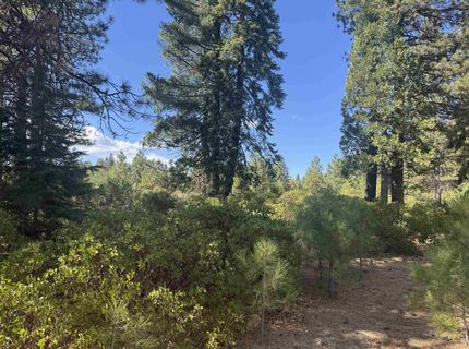 45 Village Drive, Lake Almanor, CA 96137 Photo