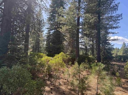 45 Village Drive, Lake Almanor, CA 96137 Photo
