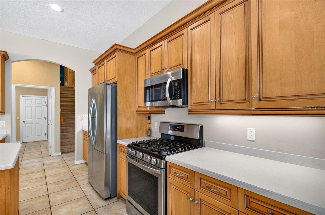 725 Citrus Wood Lane, Valrico, FL 33594 Photo