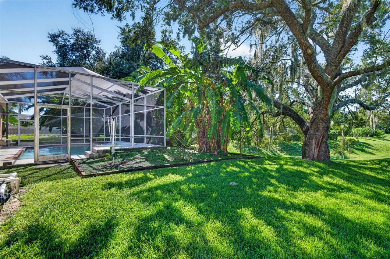 725 Citrus Wood Lane, Valrico, FL 33594 Photo