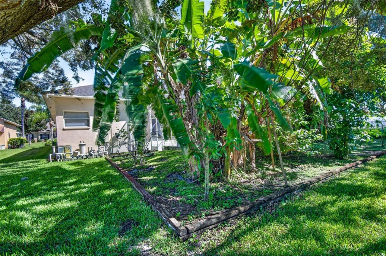 725 Citrus Wood Lane, Valrico, FL 33594 Photo
