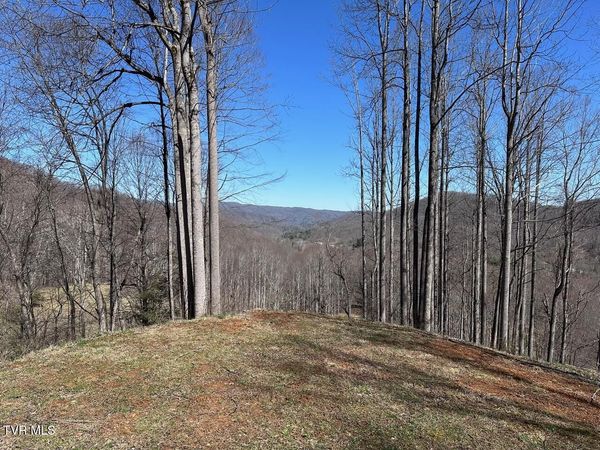 Tbd Roan Springs Road, Roan Mountain, TN 37687