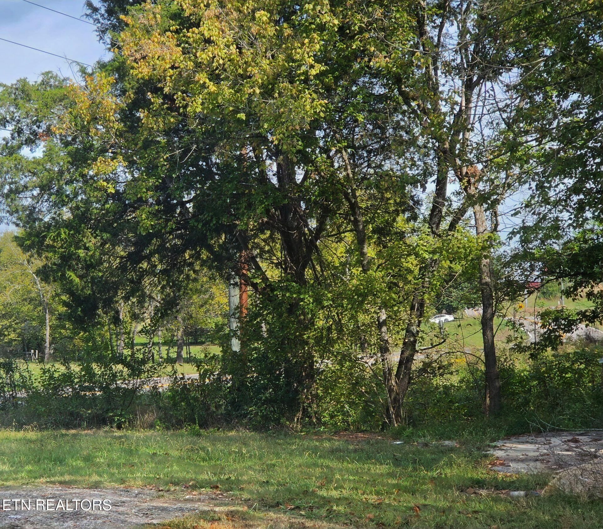 2285 Douglas Dam Rd, Sevierville, TN 37876 Main Photo