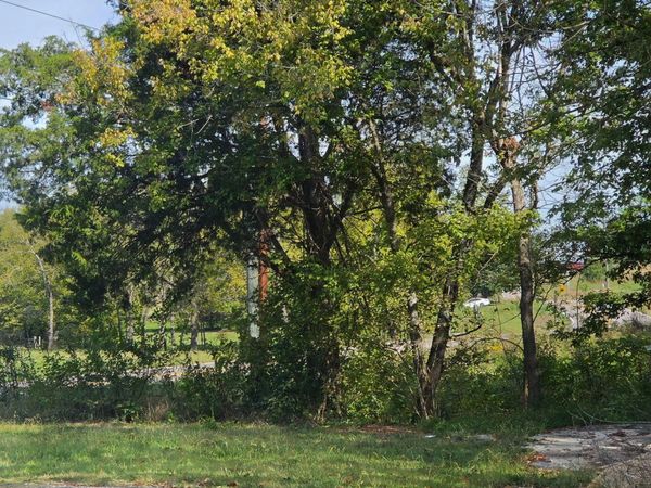 2285 Douglas Dam Rd, Pigeon Forge, TN 37876