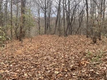 1147 Stratford Road, Lynchburg, VA 24502