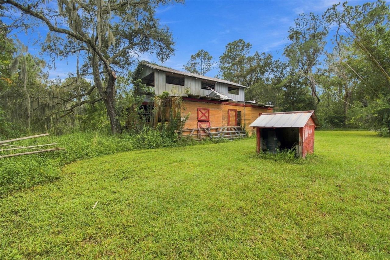 19135 N Dale Mabry Highway, Lutz, FL 33548 Photo