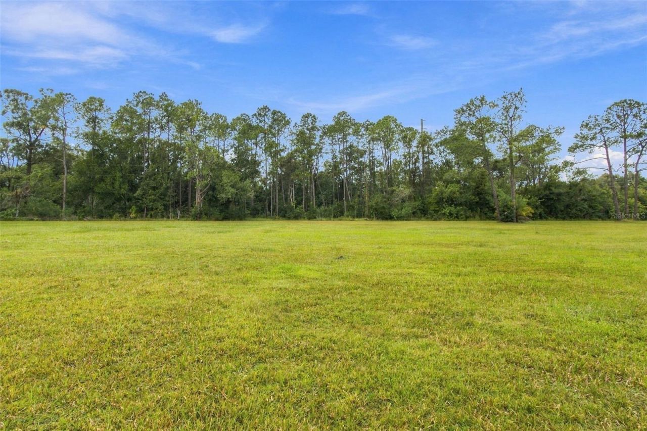 19135 N Dale Mabry Highway, Lutz, FL 33548 Photo