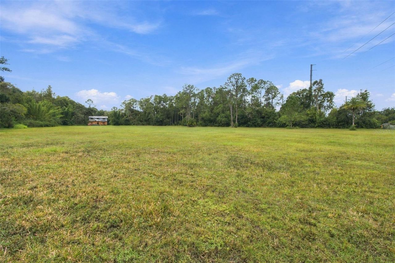 19135 N Dale Mabry Highway, Lutz, FL 33548 Photo