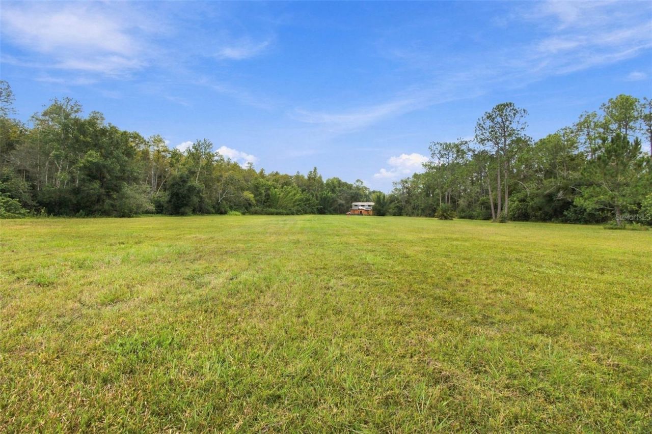 19135 N Dale Mabry Highway, Lutz, FL 33548 Photo