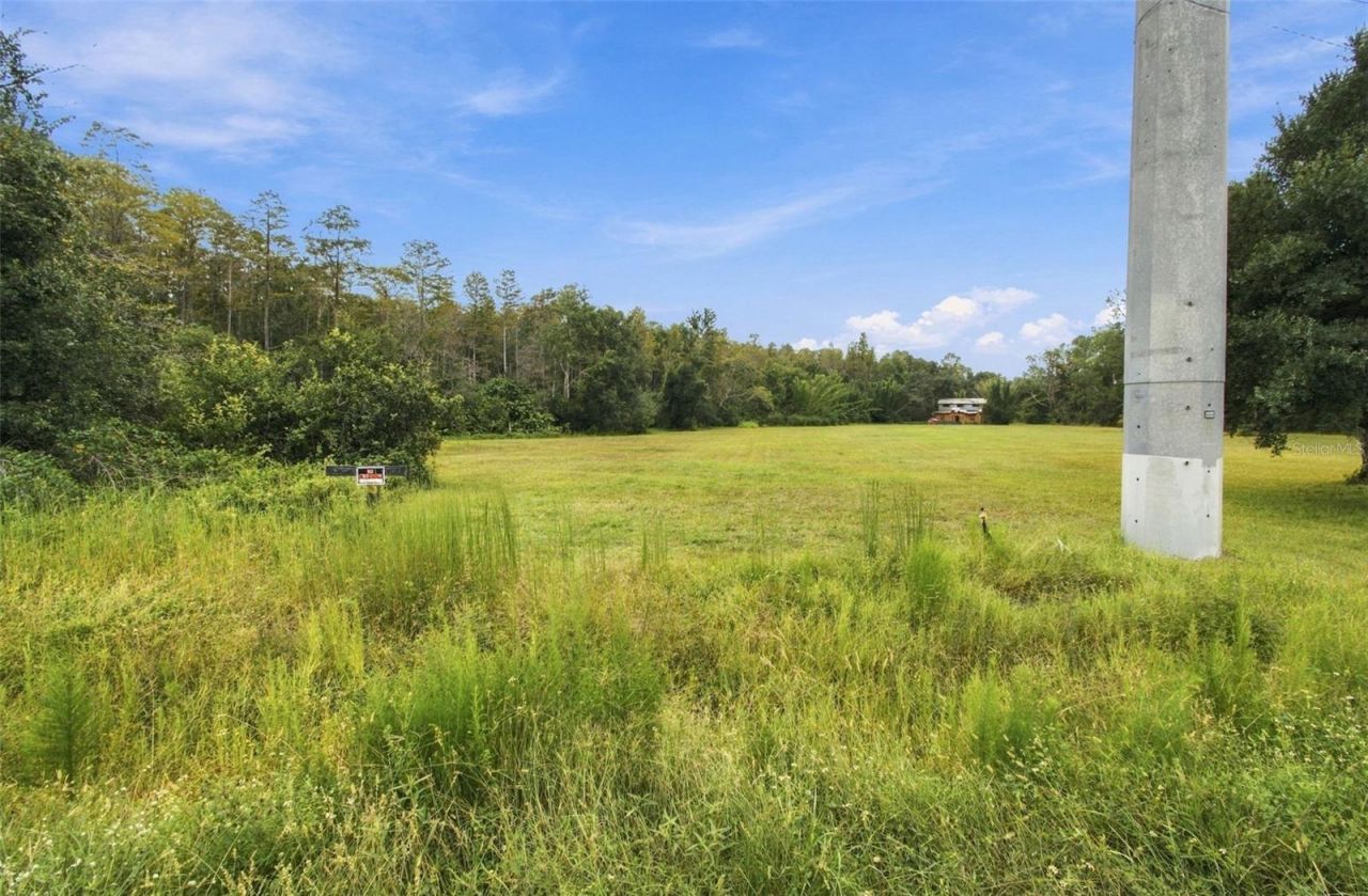 19135 N Dale Mabry Highway, Lutz, FL 33548 Photo