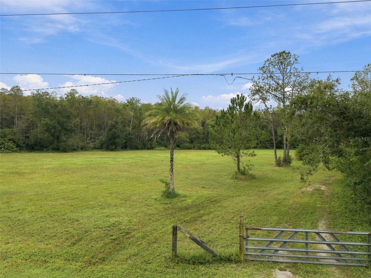 19135 N Dale Mabry Highway, Lutz, FL 33548 Photo