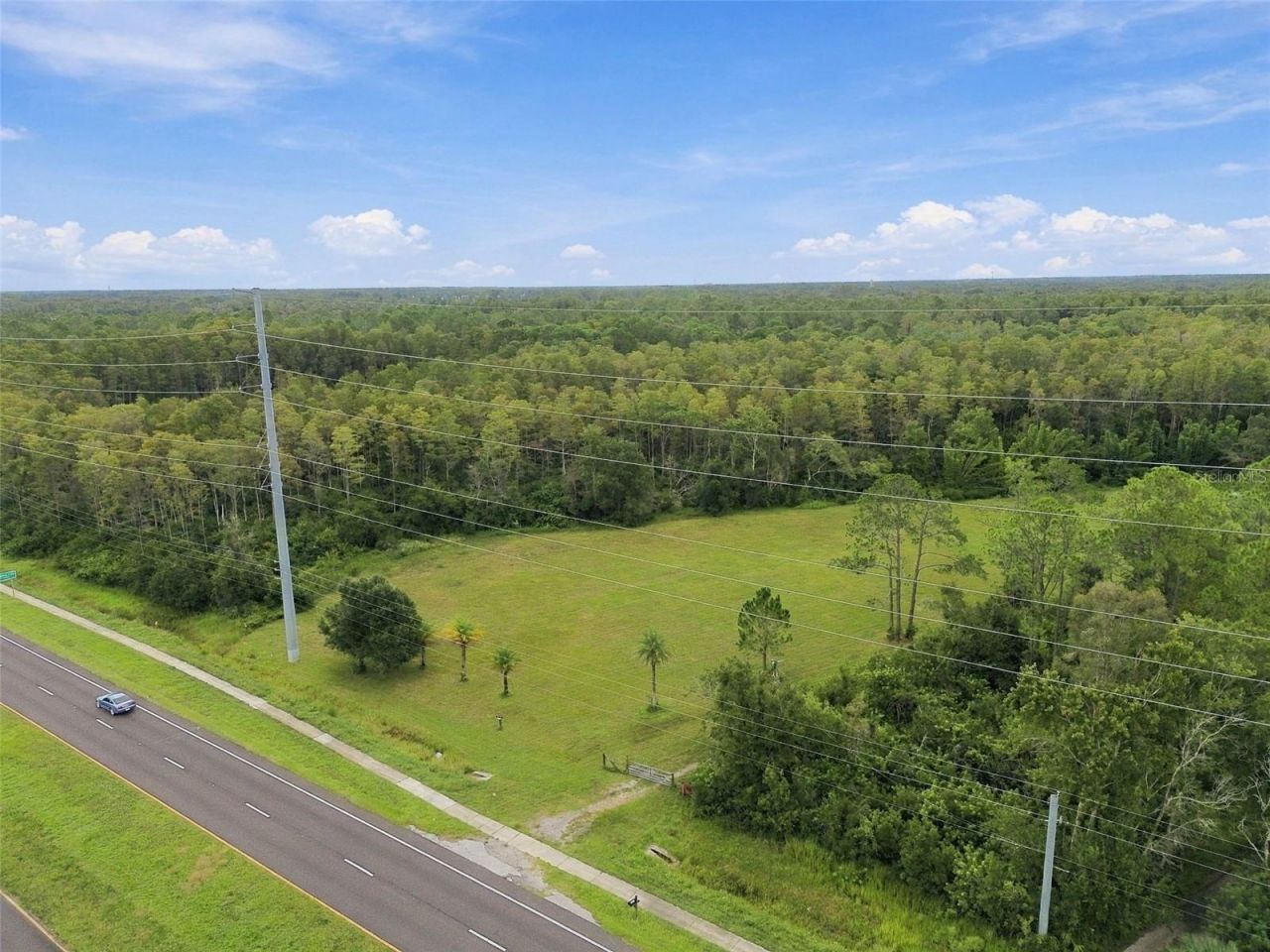 19135 N Dale Mabry Highway, Lutz, FL 33548 Photo