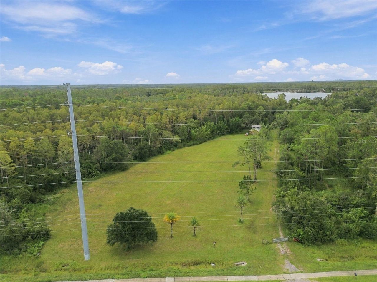 19135 N Dale Mabry Highway, Lutz, FL 33548 Photo