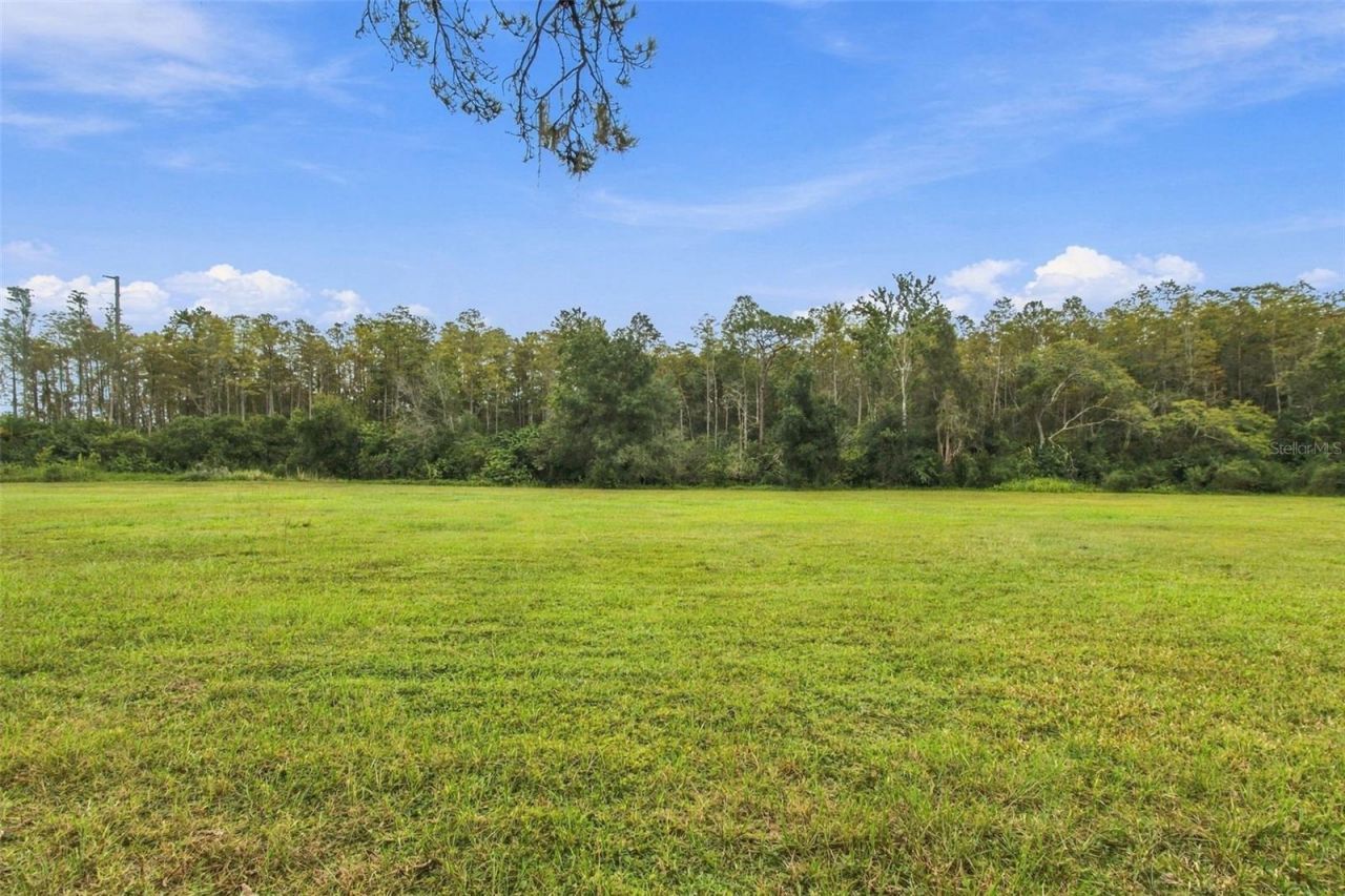 19135 N Dale Mabry Highway, Lutz, FL 33548 Photo