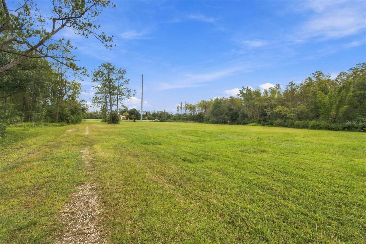 19135 N Dale Mabry Highway, Lutz, FL 33548 Photo