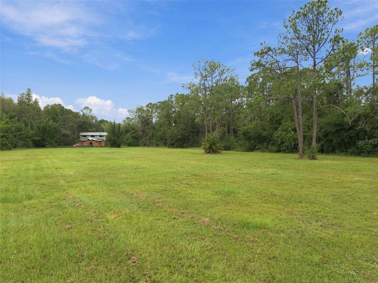 19135 N Dale Mabry Highway, Lutz, FL 33548 Photo