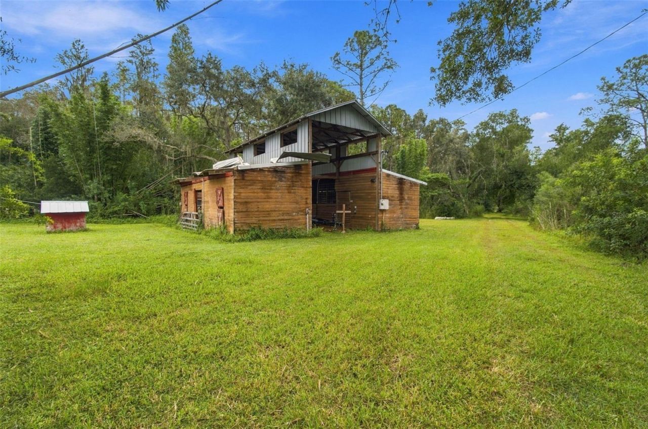 19135 N Dale Mabry Highway, Lutz, FL 33548 Photo