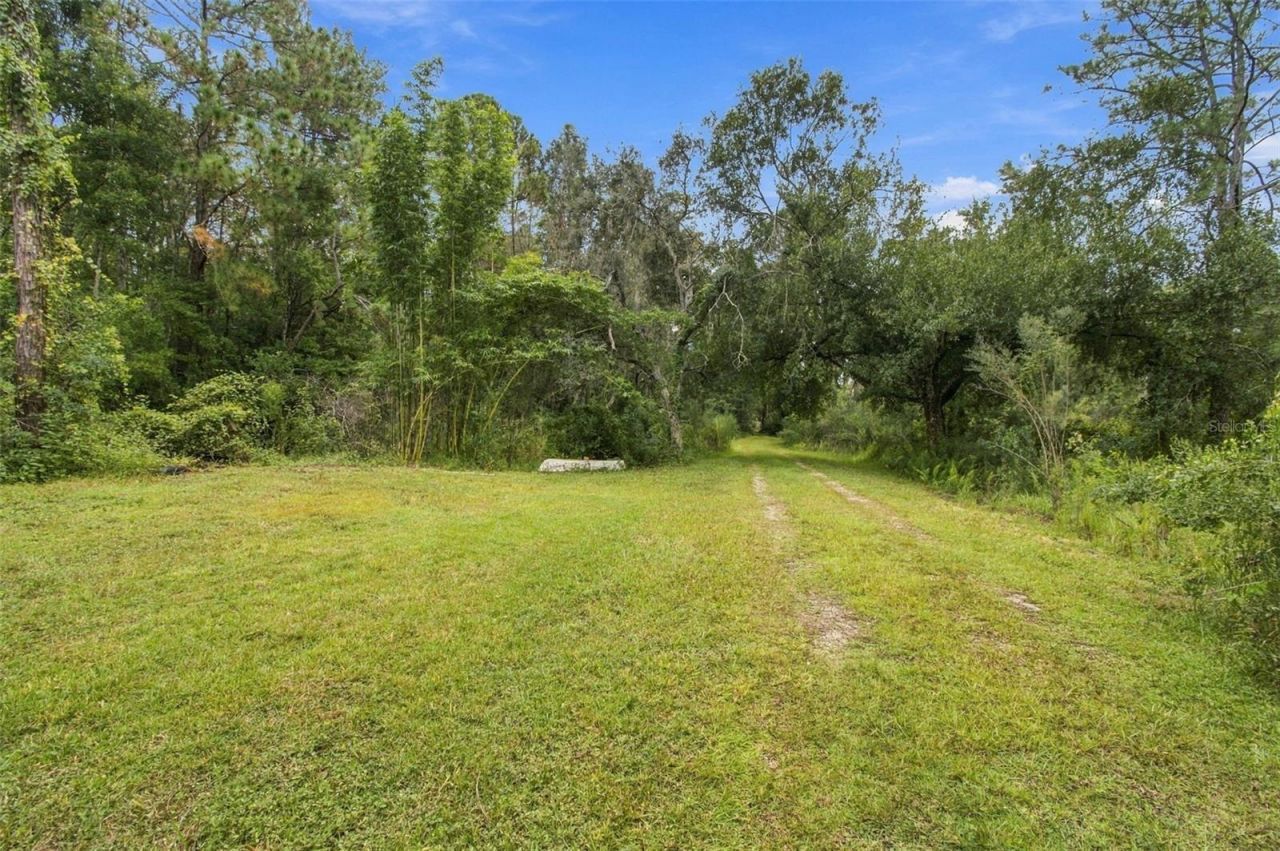 19135 N Dale Mabry Highway, Lutz, FL 33548 Photo