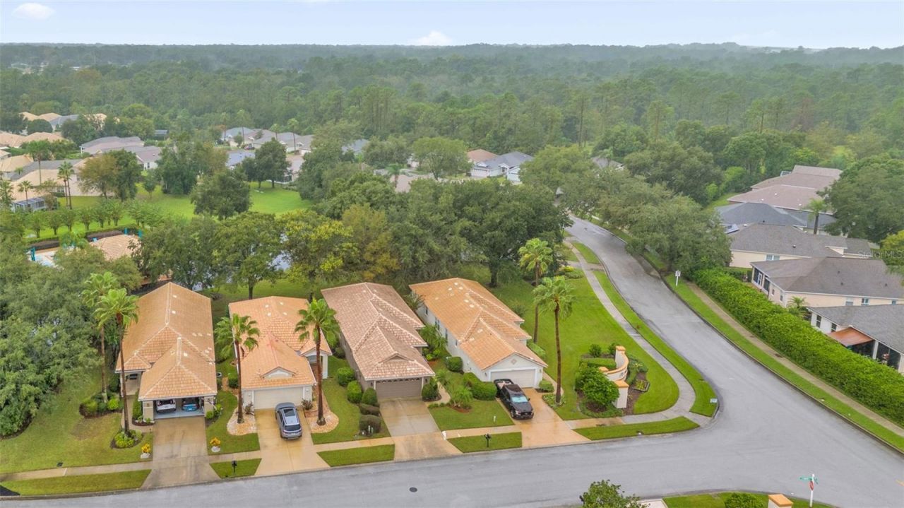 8002 Saint Andrews Way, Mount Dora, FL 32757 Photo