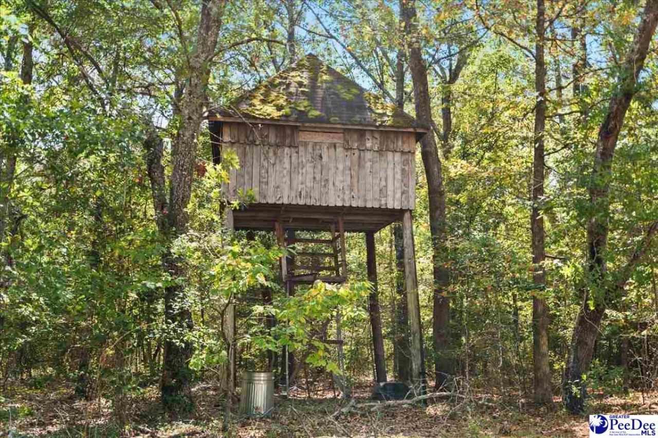467 Cane Mill Crossing Rd Photo 53