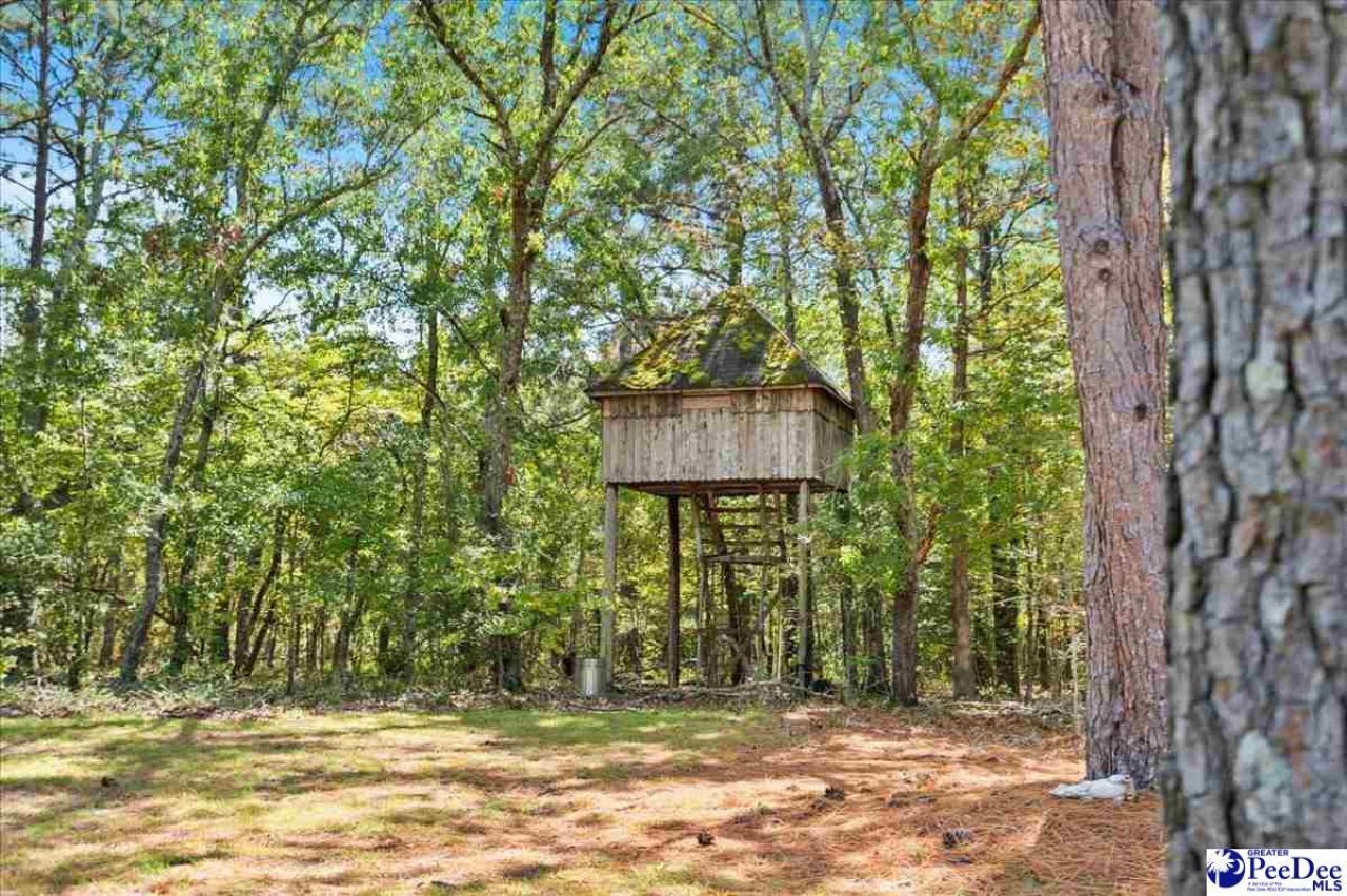 467 Cane Mill Crossing Rd Photo 54