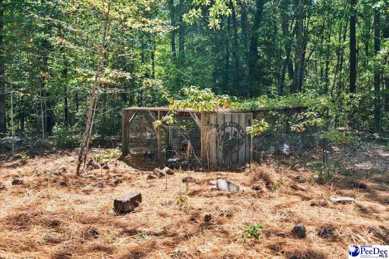 467 Cane Mill Crossing Rd Photo 55