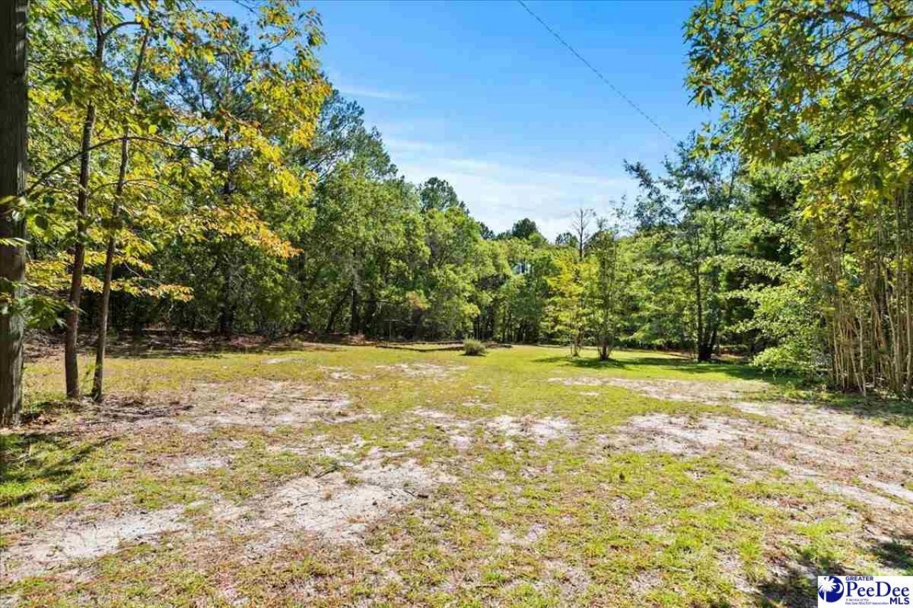 467 Cane Mill Crossing Rd Photo 56