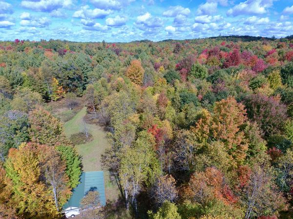 V/L S Bonney Road, Chase, MI 49623