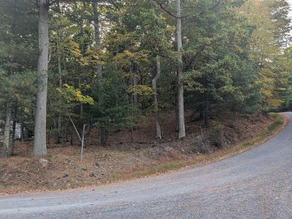 Lot 16 Laverne/Renee Drive , Dingmans Ferry, PA 18328