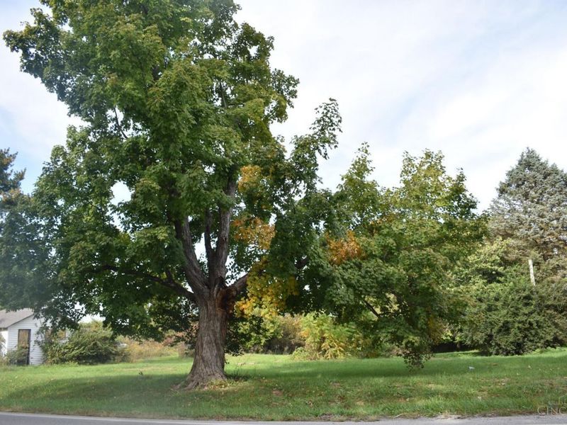 6195 State Route 124, Hillsboro, OH 45133 Photo 5