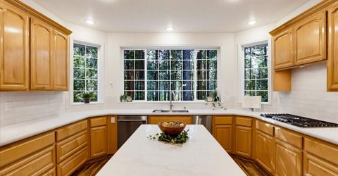 14014 Red Dog, Nevada City, CA 95959 Photo