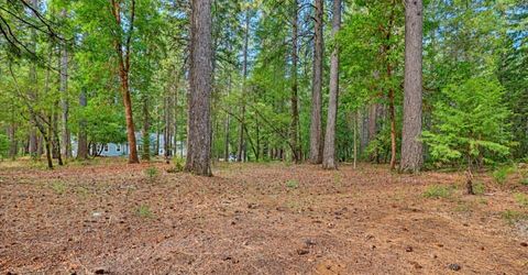 14014 Red Dog, Nevada City, CA 95959 Photo