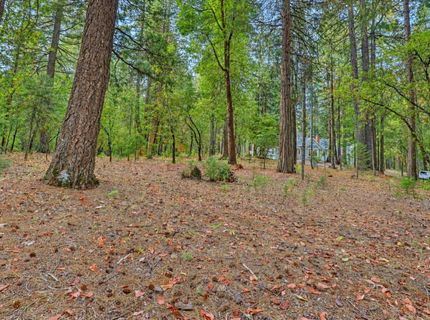 14014 Red Dog, Nevada City, CA 95959 Photo