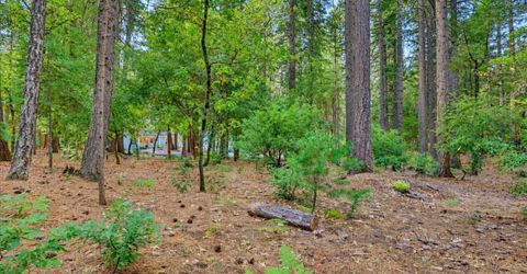 14014 Red Dog, Nevada City, CA 95959 Photo