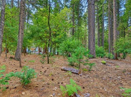14014 Red Dog, Nevada City, CA 95959 Photo