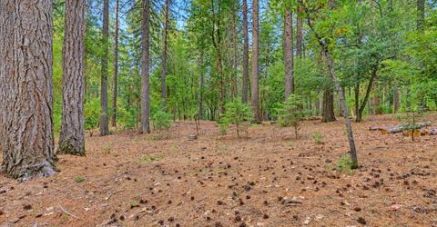 14014 Red Dog, Nevada City, CA 95959 Photo