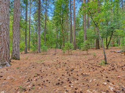 14014 Red Dog, Nevada City, CA 95959 Photo