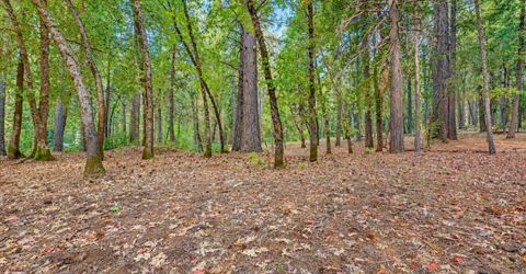 14014 Red Dog, Nevada City, CA 95959 Photo