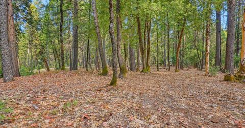 14014 Red Dog, Nevada City, CA 95959 Photo