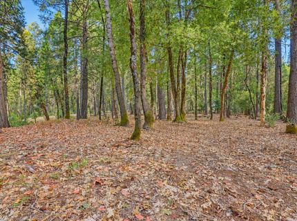 14014 Red Dog, Nevada City, CA 95959 Photo