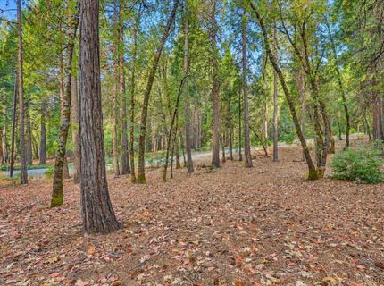 14014 Red Dog, Nevada City, CA 95959 Photo