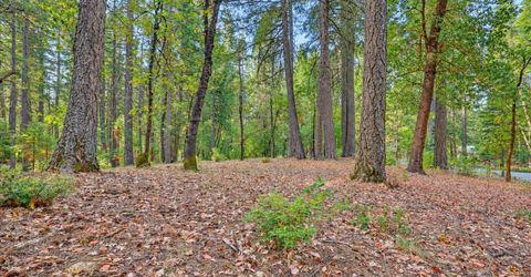 14014 Red Dog, Nevada City, CA 95959 Photo
