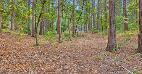 14014 Red Dog, Nevada City, CA 95959 Photo