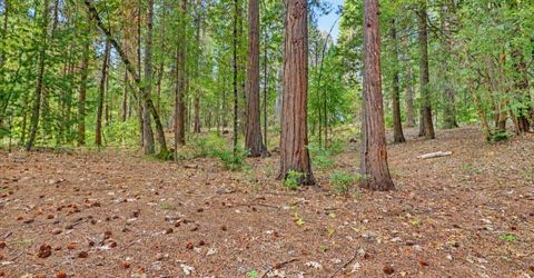 14014 Red Dog, Nevada City, CA 95959 Photo