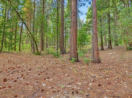 14014 Red Dog, Nevada City, CA 95959 Photo