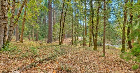 14014 Red Dog, Nevada City, CA 95959 Photo