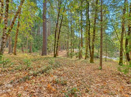 14014 Red Dog, Nevada City, CA 95959 Photo
