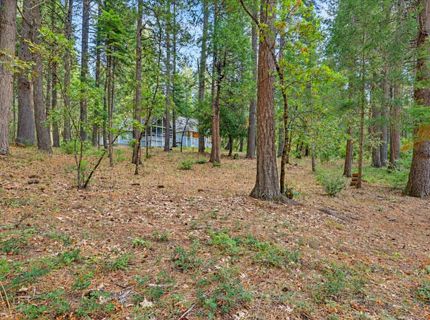 14014 Red Dog, Nevada City, CA 95959 Photo