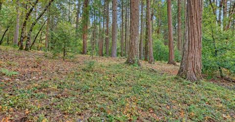 14014 Red Dog, Nevada City, CA 95959 Photo